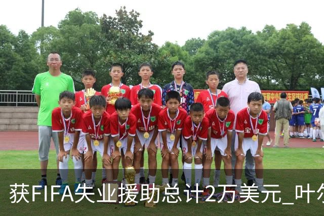获FIFA失业援助总计2万美元 叶尔杰提成中国球员第一人
